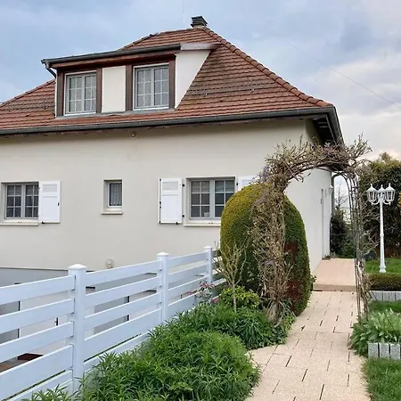 Le Papillon,logement Cosy En Alsace *