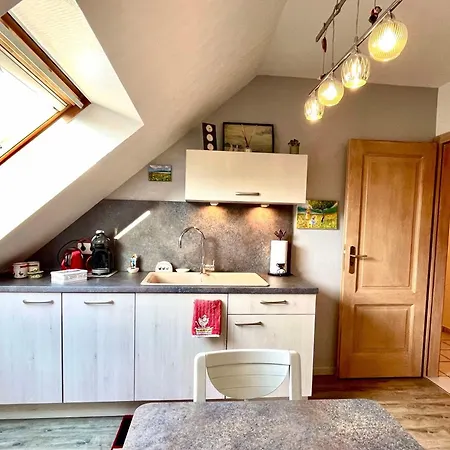 Le Papillon,logement Cosy En Alsace Apartamento *