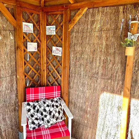 Le Papillon,logement Cosy En Alsace Appartamento Erstein