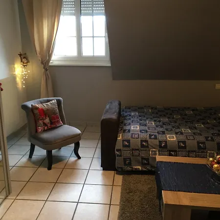 Le Papillon,logement Cosy En Alsace